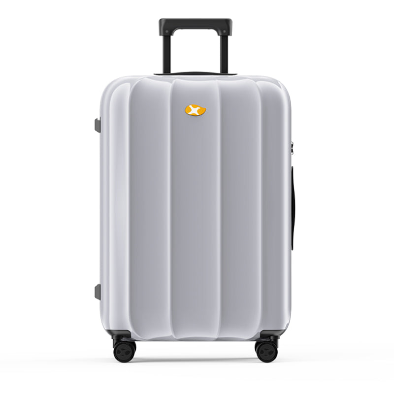 Silver suitcase with a visible brand logo on a white background