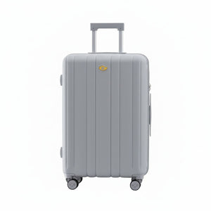 Silver suitcase with a visible brand logo on a white background