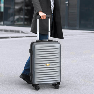 Person holding a silver suitcase with a blurred background